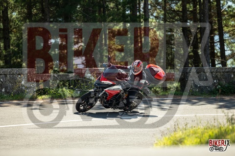 Passo del Muraglione 04-10-25 h13-05 0666