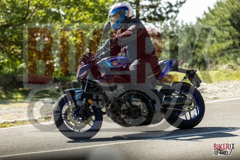 Passo del Muraglione 04-10-25 h13-22 0714