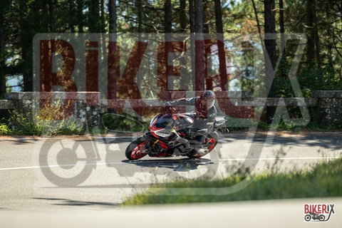 Passo del Muraglione 04-10-25 h13-38 0762