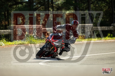 Passo del Muraglione 04-10-25 h13-38 0764