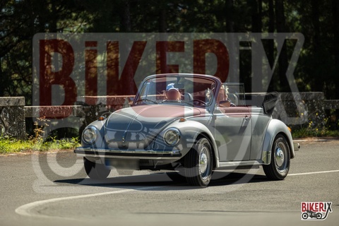 Passo del Muraglione 04-10-25 h13-39 0771