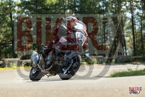 Passo del Muraglione 04-10-25 h13-39 0784