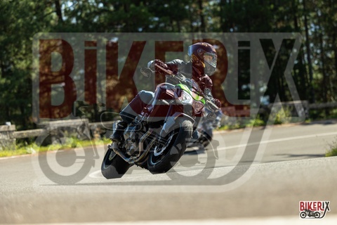 Passo del Muraglione 04-10-25 h13-42 0817