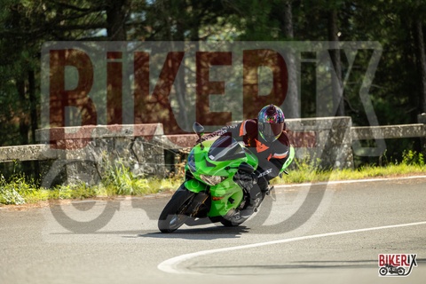 Passo del Muraglione 04-10-25 h13-49 0868