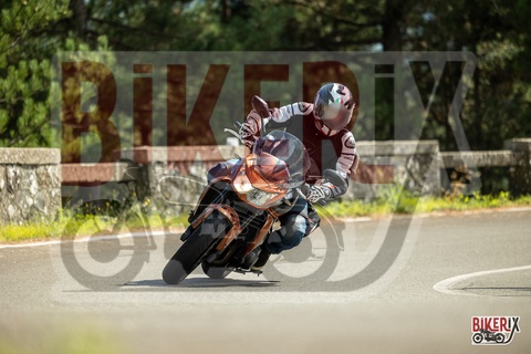 Passo del Muraglione 04-10-25 h13-50 0882