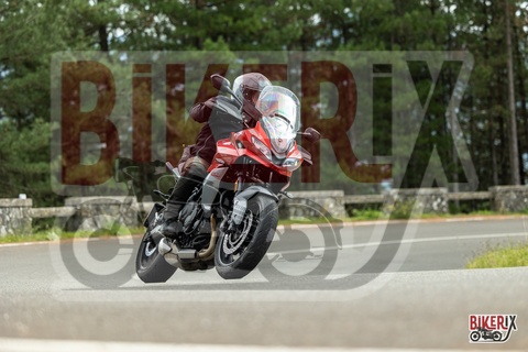 Passo del Muraglione 04-10-25 h14-09 0945