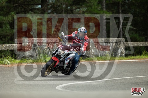 Passo del Muraglione 04-10-25 h14-13 0976