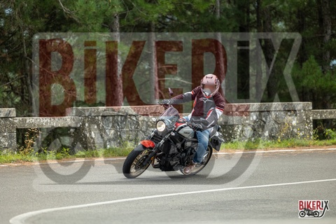 Passo del Muraglione 04-10-25 h14-13 0984