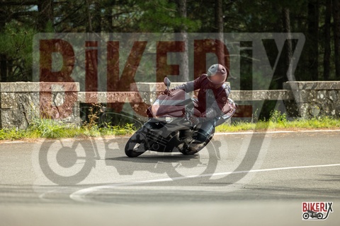 Passo del Muraglione 04-10-25 h14-17 0994