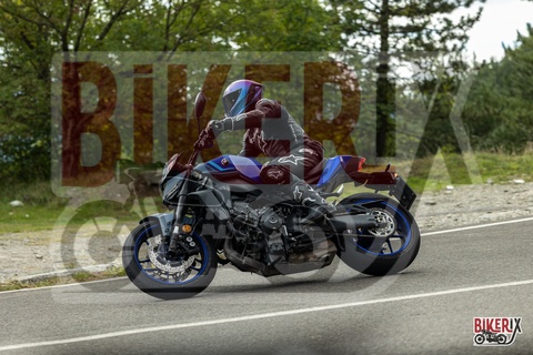 Passo del Muraglione 04-10-25 h14-26 1032