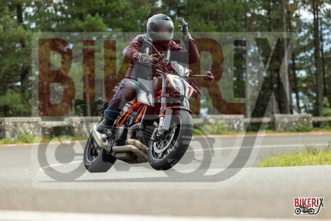 Passo del Muraglione 04-10-25 h14-27 1054