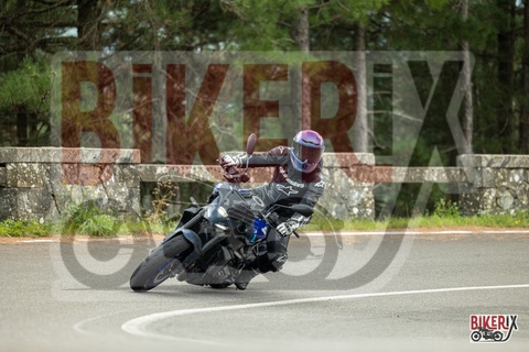 Passo del Muraglione 04-10-25 h14-29 1082