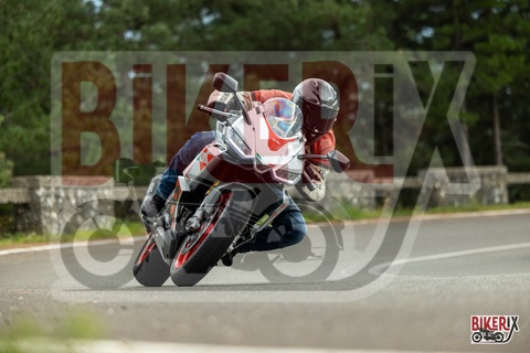 Passo del Muraglione 04-10-25 h14-31 1091