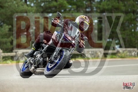 Passo del Muraglione 04-10-25 h14-31 1096