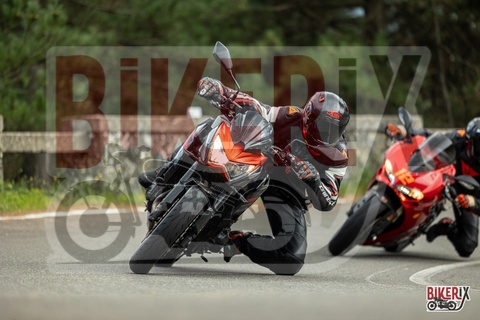 Passo del Muraglione 04-10-25 h14-44 1121