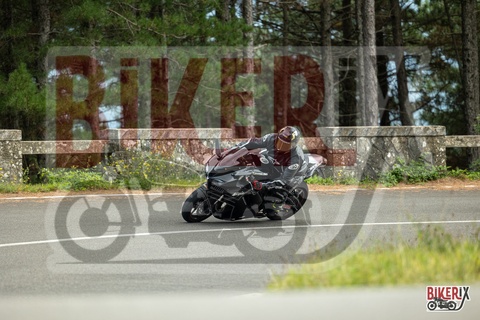 Passo del Muraglione 04-10-25 h14-45 1147