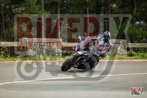 Passo del Muraglione 04-10-25 h14-49 1175