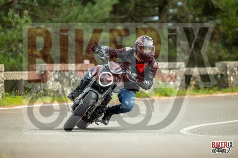 Passo del Muraglione 04-10-25 h15-07 1330