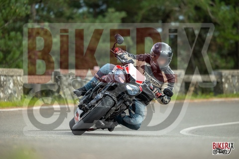 Passo del Muraglione 04-10-25 h15-15 1374