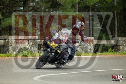 Passo del Muraglione 04-10-25 h15-17 1403