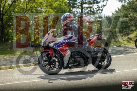 Passo del Muraglione 04-10-25 h15-27 1471