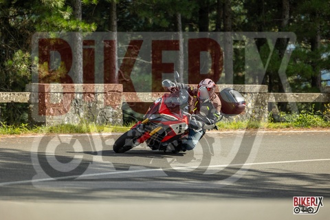 Passo del Muraglione 04-10-25 h15-29 1489