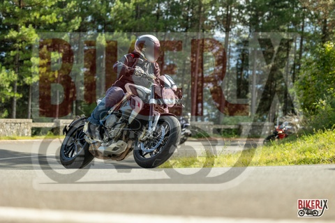 Passo del Muraglione 04-10-25 h15-29 1508