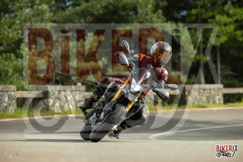 Passo del Muraglione 04-10-25 h15-48 1674