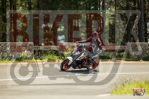 Passo del Muraglione 06-09-25 h13-32 2090