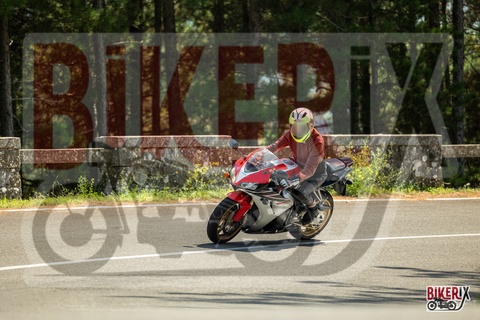 Passo del Muraglione 06-09-25 h14-04 2383