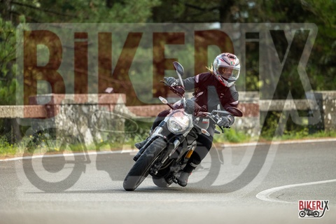 Passo del Muraglione 06-09-25 h14-24 2536