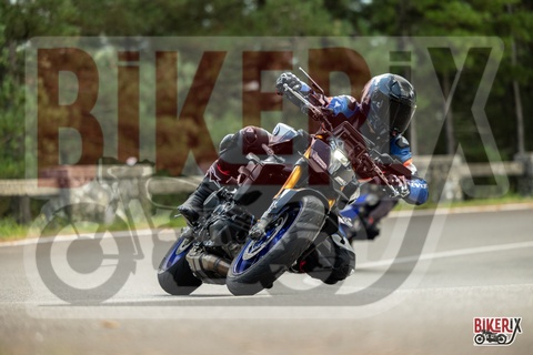 Passo del Muraglione 06-09-25 h15-48 3191