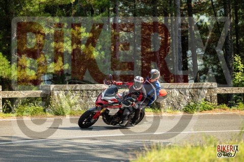 Passo del Muraglione 06-09-25 h16-11 3422