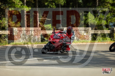 Passo del Muraglione 06-09-25 h16-25 3559