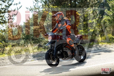 Passo del Muraglione 06-09-25 h16-37 3664