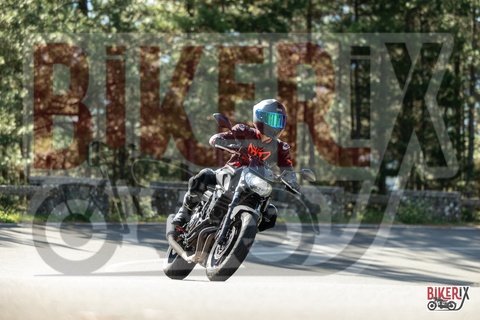 Passo del Muraglione 07-09-25 h10-02 0325