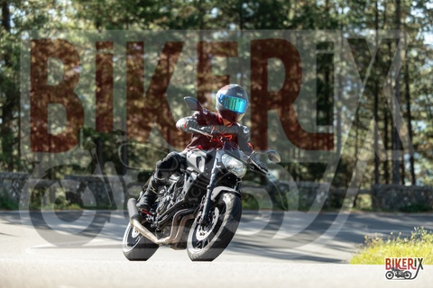 Passo del Muraglione 07-09-25 h10-02 0327