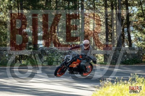 Passo del Muraglione 07-09-25 h10-04 0328