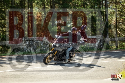 Passo del Muraglione 07-09-25 h11-29 1145