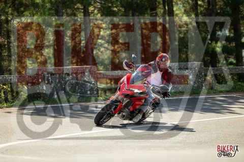 Passo del Muraglione 07-09-25 h11-33 1182