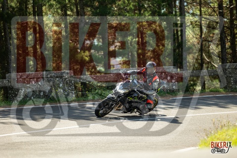 Passo del Muraglione 07-09-25 h11-33 1186