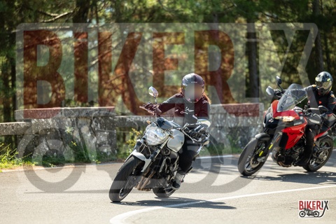 Passo del Muraglione 07-09-25 h11-36 1216