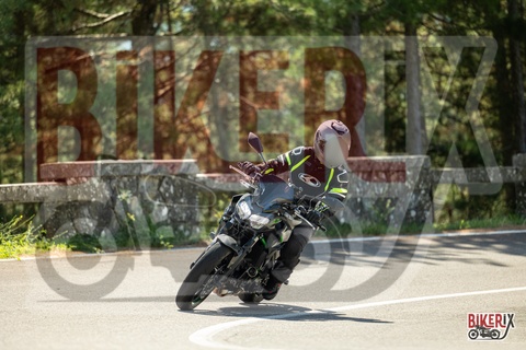 Passo del Muraglione 07-09-25 h11-39 1239