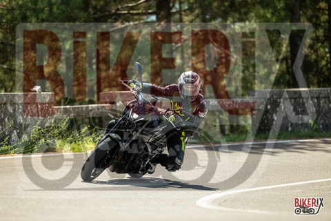 Passo del Muraglione 07-09-25 h11-48 1333