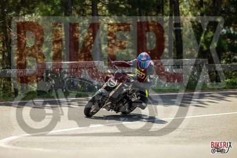 Passo del Muraglione 07-09-25 h11-48 1338