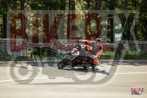 Passo del Muraglione 07-09-25 h11-48 1351