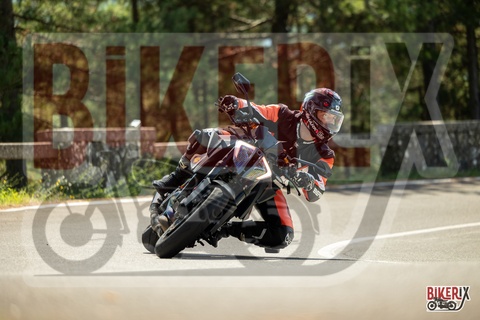 Passo del Muraglione 07-09-25 h11-48 1354