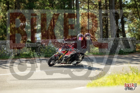 Passo del Muraglione 07-09-25 h11-49 1373