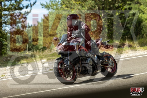 Passo del Muraglione 07-09-25 h11-56 1493