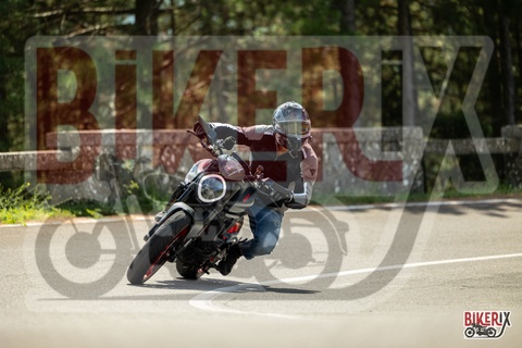 Passo del Muraglione 07-09-25 h12-13 1676